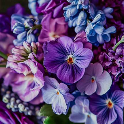 Ароматична олія "Букет фіалок" DoopFragrance
