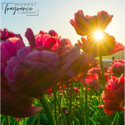 Ароматична олія "Шепіт польових квітів" MidwestFragrance