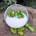 Форма силіконова "Кактусята"